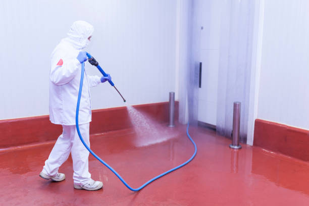 Best Window and Screen Pressure Cleaning in Hawaiian Gardens, CA